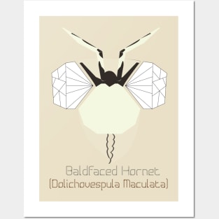 "Bug Eyes" - Baldfaced Hornet Posters and Art
